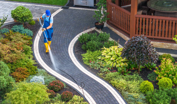 Best Pressure Washing Siding  in Cloquet, MN